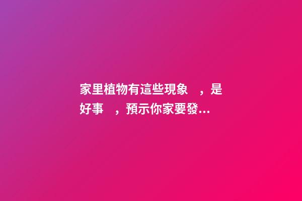 家里植物有這些現象，是好事，預示你家要發大財了！